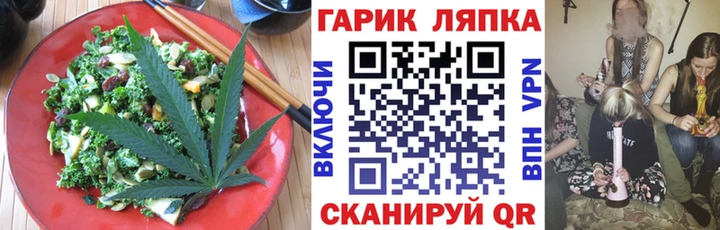 Canna-Cookies марихуана  Темников 