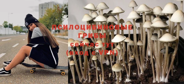 прущие крисы Магадан