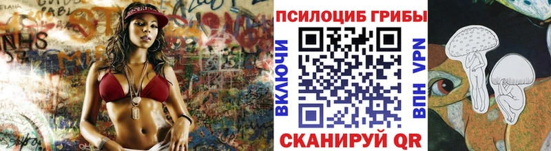 даркнет сайт  Темников  Галлюциногенные грибы Psilocybine cubensis 